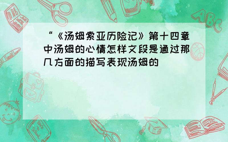 “《汤姆索亚历险记》第十四章中汤姆的心情怎样文段是通过那几方面的描写表现汤姆的