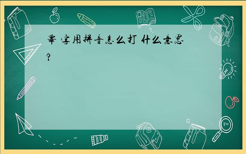 睾 字用拼音怎么打 什么意思?