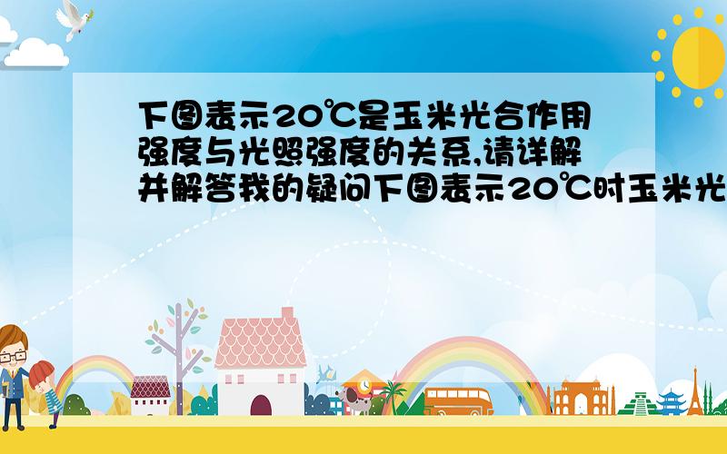 下图表示20℃是玉米光合作用强度与光照强度的关系,请详解并解答我的疑问下图表示20℃时玉米光合作用强度与光照强度的关系,S  1、S2、S3表示所在部位的面积,下列说法中不正确的是