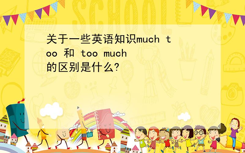 关于一些英语知识much too 和 too much 的区别是什么?