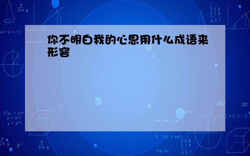 你不明白我的心思用什么成语来形容