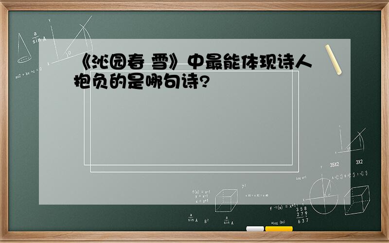 《沁园春 雪》中最能体现诗人抱负的是哪句诗?