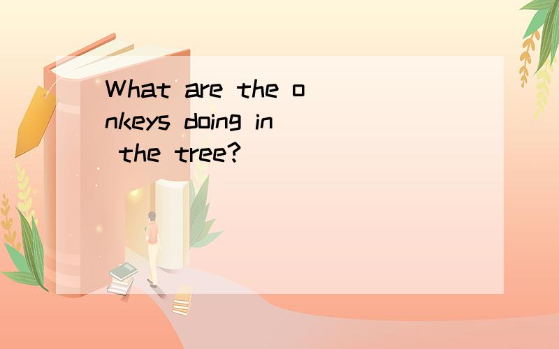 What are the onkeys doing in the tree?