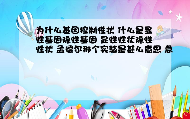 为什么基因控制性状 什么是显性基因隐性基因 显性性状隐性性状 孟德尔那个实验是甚么意思 急