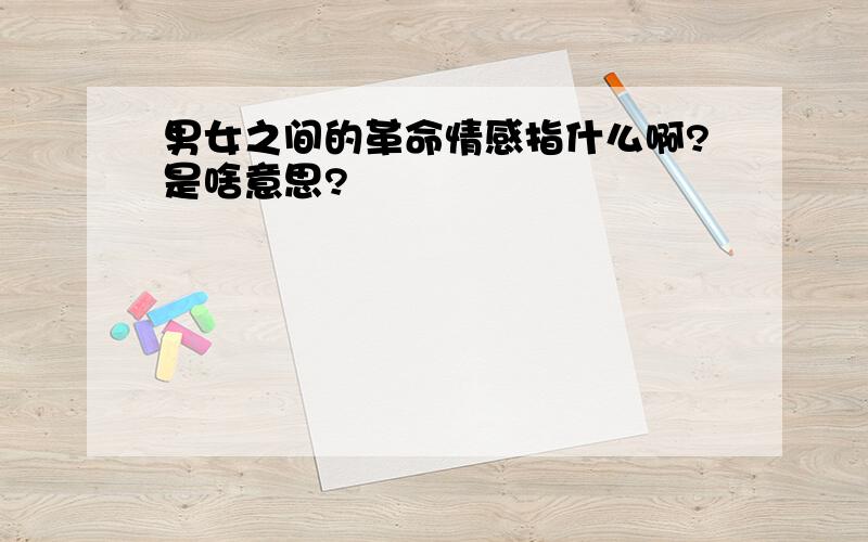 男女之间的革命情感指什么啊?是啥意思?