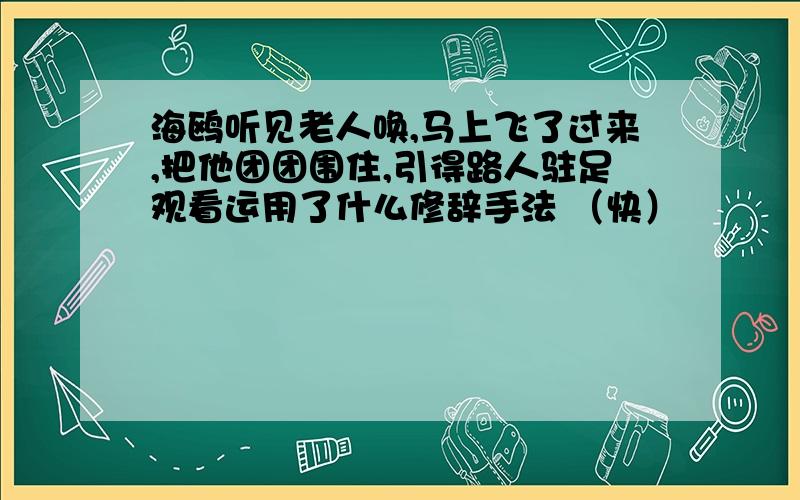 海鸥听见老人唤,马上飞了过来,把他团团围住,引得路人驻足观看运用了什么修辞手法 （快）