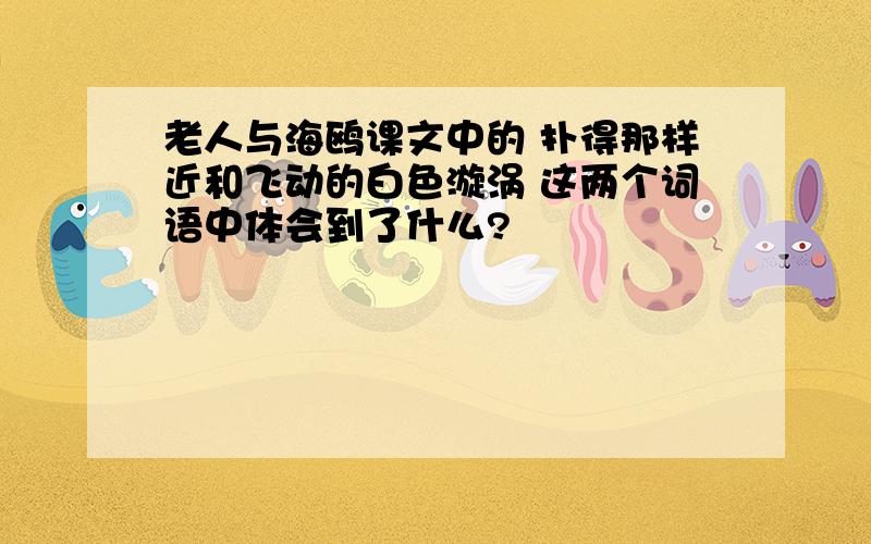 老人与海鸥课文中的 扑得那样近和飞动的白色漩涡 这两个词语中体会到了什么?