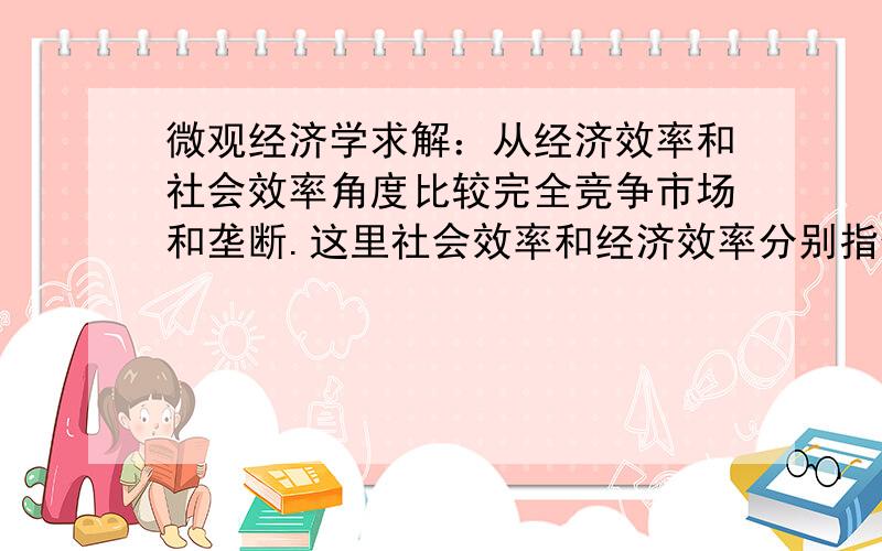 微观经济学求解：从经济效率和社会效率角度比较完全竞争市场和垄断.这里社会效率和经济效率分别指什么?越详细越好,如果直接能给出这个题目的答案框架更好,会追加到50的