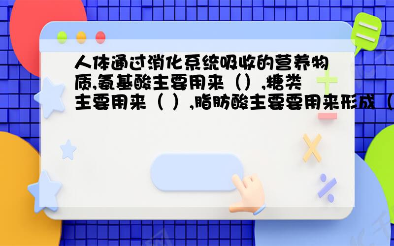 人体通过消化系统吸收的营养物质,氨基酸主要用来（）,糖类主要用来（ ）,脂肪酸主要要用来形成（ ）