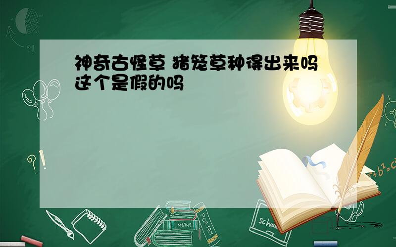 神奇古怪草 猪笼草种得出来吗这个是假的吗