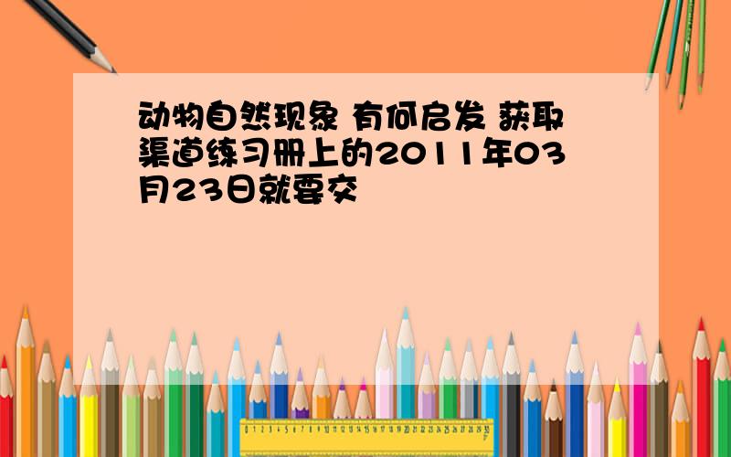 动物自然现象 有何启发 获取渠道练习册上的2011年03月23日就要交