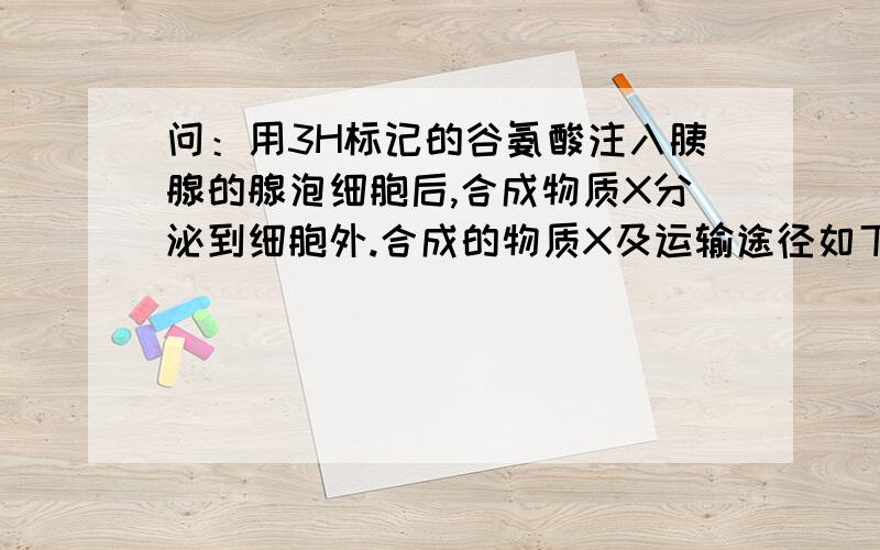 问：用3H标记的谷氨酸注入胰腺的腺泡细胞后,合成物质X分泌到细胞外.合成的物质X及运输途径如下图.核糖体→1→2→细胞膜→细胞外（注：题目图上的的X物质标在2和细胞膜之间的→上,还标