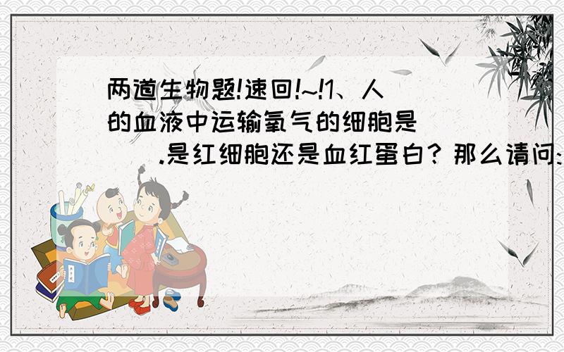 两道生物题!速回!~!1、人的血液中运输氧气的细胞是（   ）.是红细胞还是血红蛋白？那么请问:到底是哪个？有科学根据！