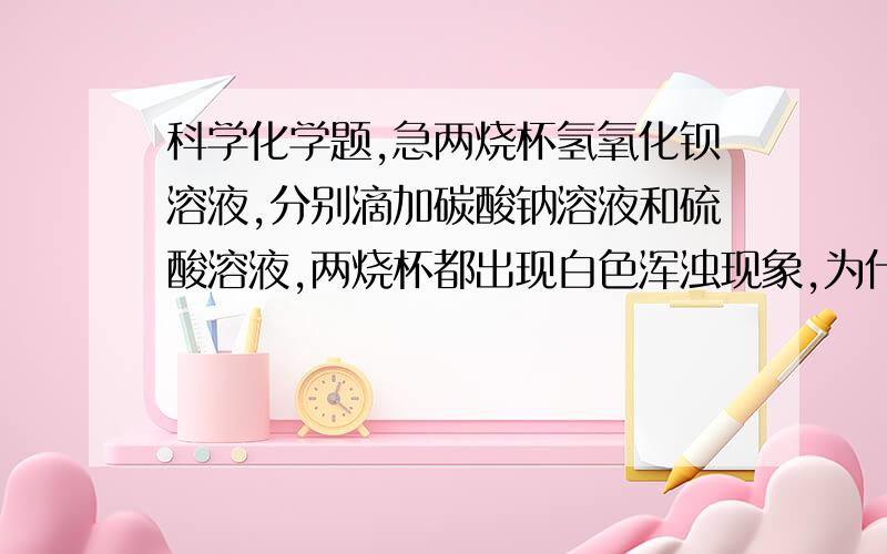 科学化学题,急两烧杯氢氧化钡溶液,分别滴加碳酸钠溶液和硫酸溶液,两烧杯都出现白色浑浊现象,为什么一杯电流表有示数,一杯无示数.给全部家当求！