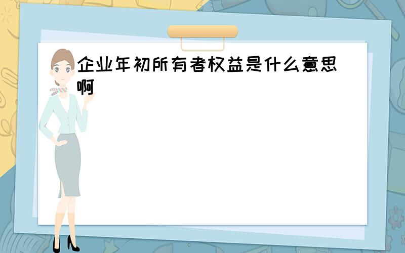 企业年初所有者权益是什么意思啊