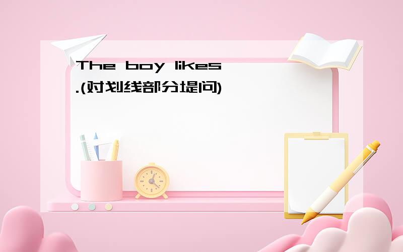 The boy likes .(对划线部分堤问)