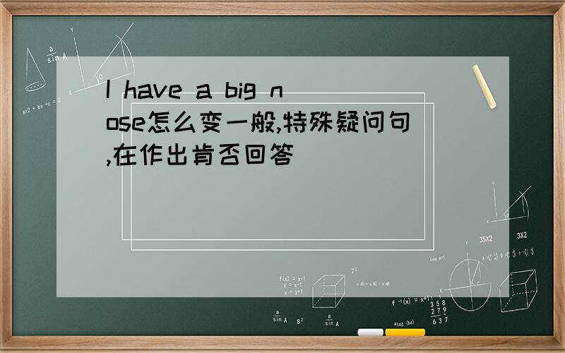 I have a big nose怎么变一般,特殊疑问句,在作出肯否回答