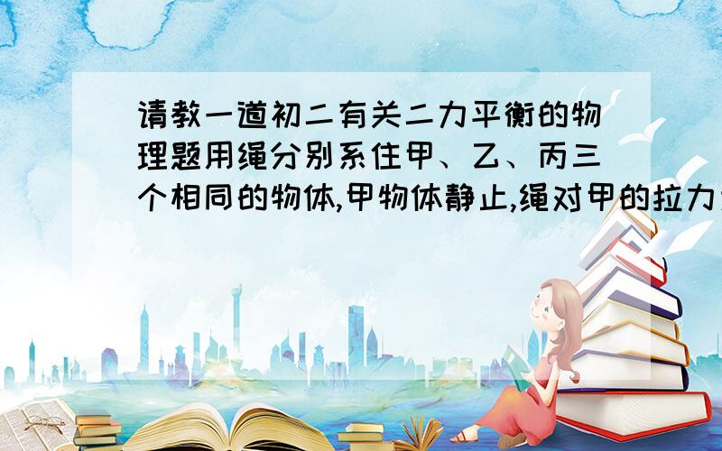 请教一道初二有关二力平衡的物理题用绳分别系住甲、乙、丙三个相同的物体,甲物体静止,绳对甲的拉力为F1；乙物体匀速竖直上升,绳对乙的拉力为F2；丙物体匀速竖直下降,绳对丙的拉力为F3