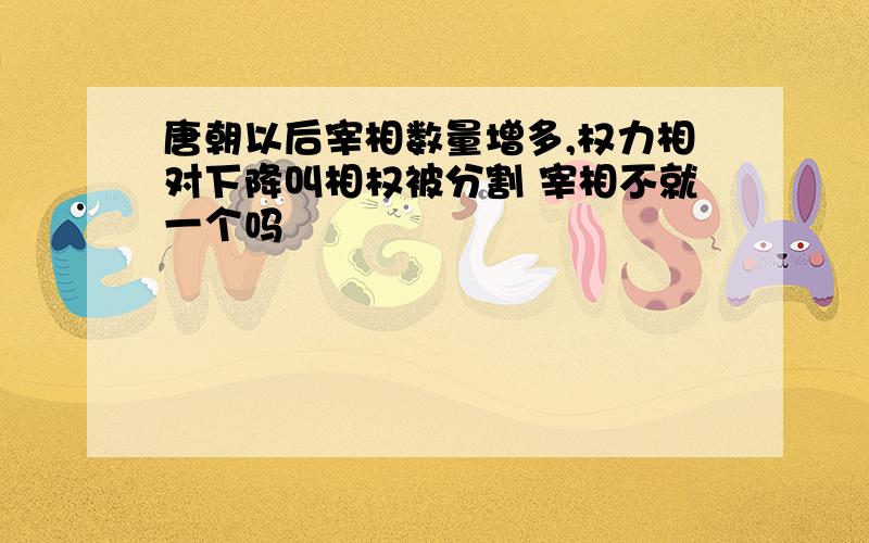 唐朝以后宰相数量增多,权力相对下降叫相权被分割 宰相不就一个吗