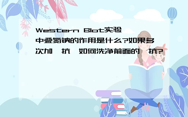 Western Blot实验中叠氮钠的作用是什么?如果多次加一抗,如何洗净前面的一抗?