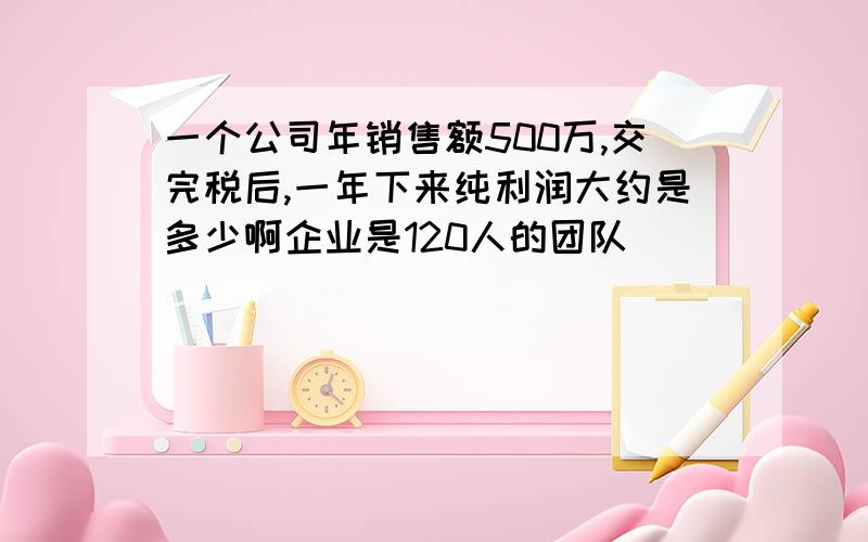 一个公司年销售额500万,交完税后,一年下来纯利润大约是多少啊企业是120人的团队