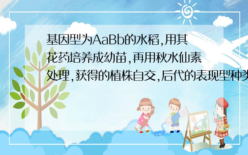 基因型为AaBb的水稻,用其花药培养成幼苗,再用秋水仙素处理,获得的植株自交,后代的表现型种类及比例为A、1种 ,全部 B、2种 ,3:1 C、4种,1:1:1:1 D、4种,9:3:3:1