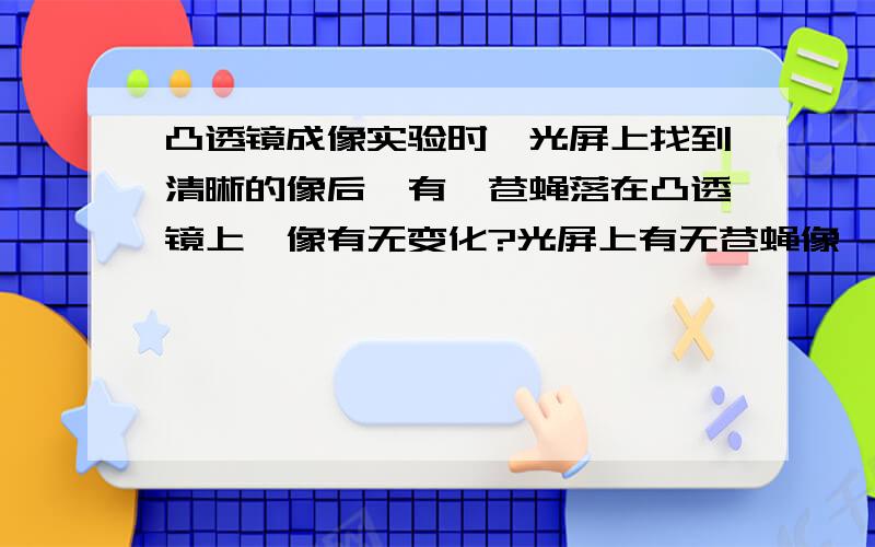 凸透镜成像实验时,光屏上找到清晰的像后,有一苍蝇落在凸透镜上,像有无变化?光屏上有无苍蝇像