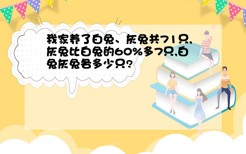 我家养了白兔、灰兔共71只,灰兔比白兔的60%多7只,白兔灰兔各多少只?