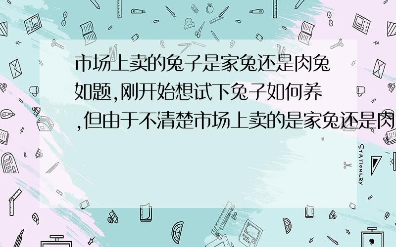 市场上卖的兔子是家兔还是肉兔如题,刚开始想试下兔子如何养,但由于不清楚市场上卖的是家兔还是肉兔,如果要养兔子,从市场买回来的兔子能繁殖么?养兔子要注意些什么,怎样才能照顾好兔