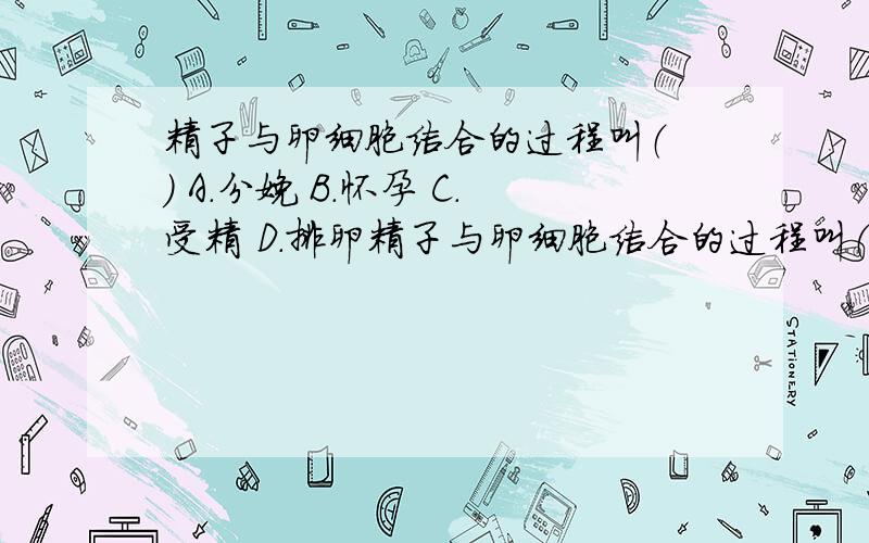 精子与卵细胞结合的过程叫（ ） A．分娩 B．怀孕 C．受精 D．排卵精子与卵细胞结合的过程叫（ ） A．分娩 B．怀孕 C．受精 D．排卵