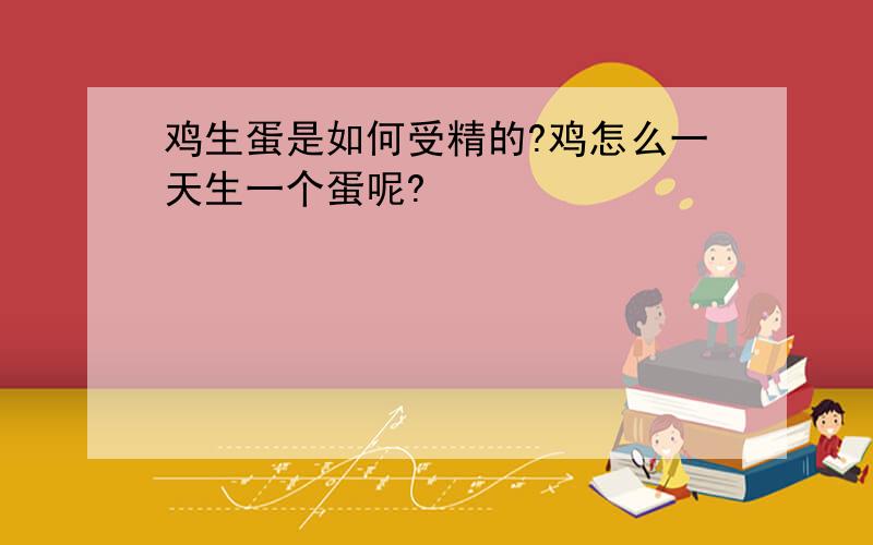 鸡生蛋是如何受精的?鸡怎么一天生一个蛋呢?