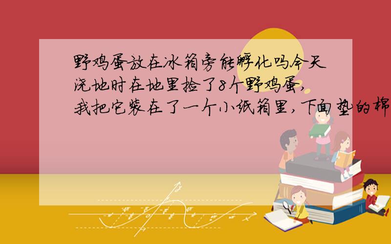 野鸡蛋放在冰箱旁能孵化吗今天浇地时在地里捡了8个野鸡蛋,我把它装在了一个小纸箱里,下面垫的棉花,放在冰箱的侧面（冰箱散热,用手摸很热）,请问能孵化出吗?