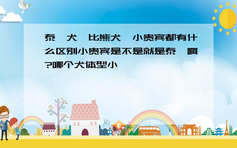 泰迪犬,比熊犬,小贵宾都有什么区别小贵宾是不是就是泰迪啊?哪个犬体型小