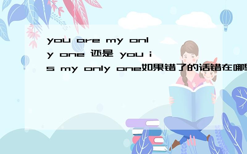 you are my only one 还是 you is my only one如果错了的话错在哪里?