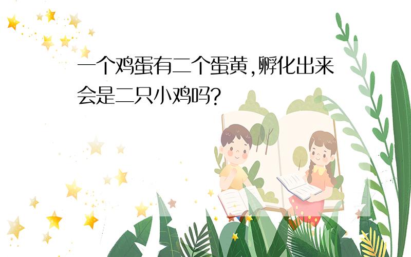 一个鸡蛋有二个蛋黄,孵化出来会是二只小鸡吗?