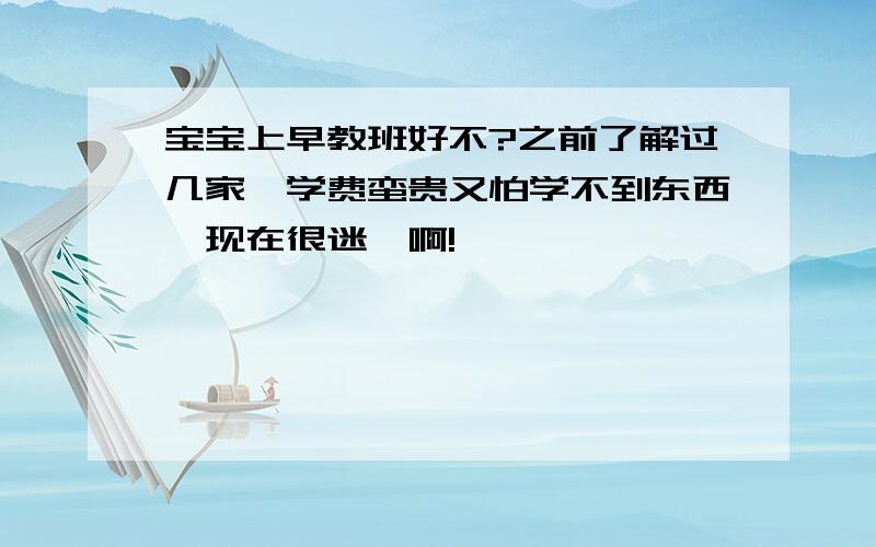 宝宝上早教班好不?之前了解过几家,学费蛮贵又怕学不到东西,现在很迷惘啊!