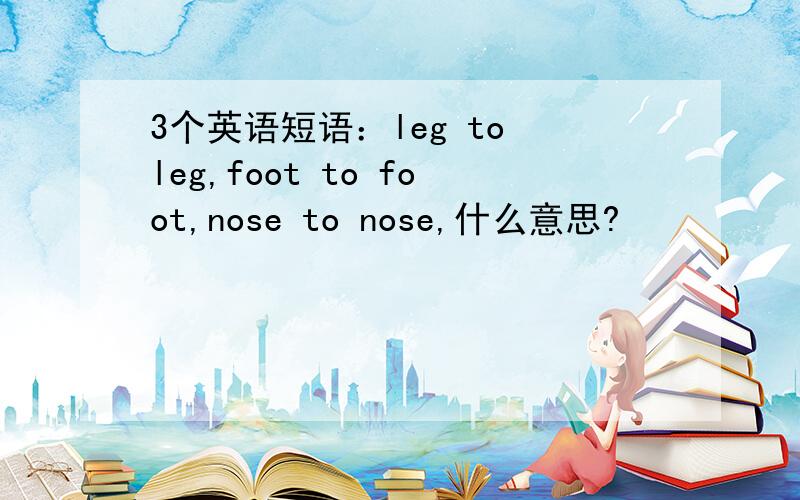 3个英语短语：leg to leg,foot to foot,nose to nose,什么意思?