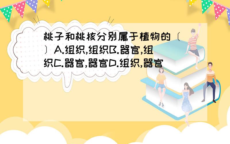 桃子和桃核分别属于植物的〔 〕A.组织,组织B.器官,组织C.器官,器官D.组织,器官