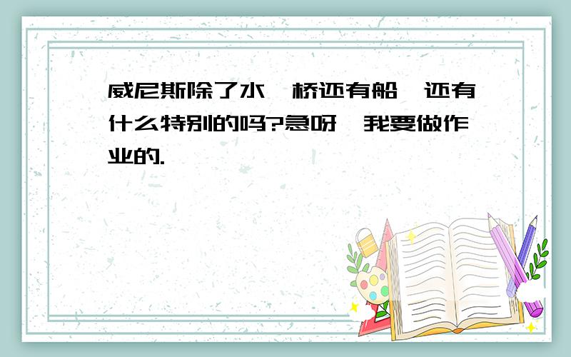 威尼斯除了水、桥还有船,还有什么特别的吗?急呀,我要做作业的.