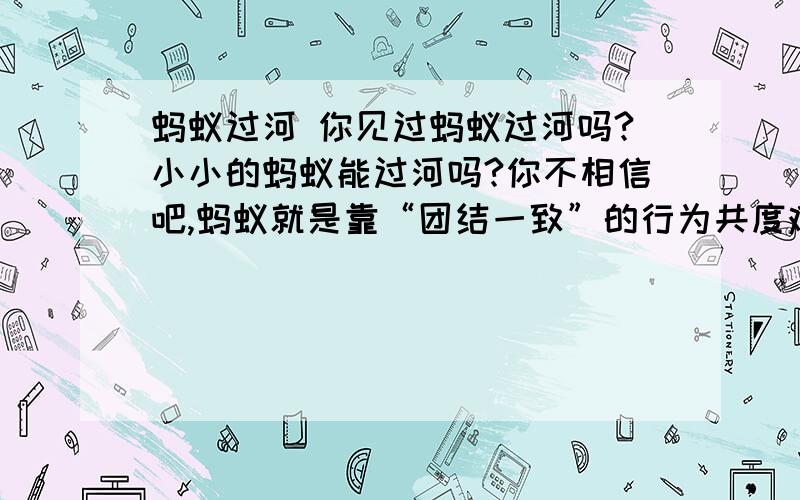 蚂蚁过河 你见过蚂蚁过河吗?小小的蚂蚁能过河吗?你不相信吧,蚂蚁就是靠“团结一致”的行为共度难关的.遇到小河,首先成片的蚂蚁在平缓的河滩上互相紧紧地抱在一起,慢慢地结成一个圆形