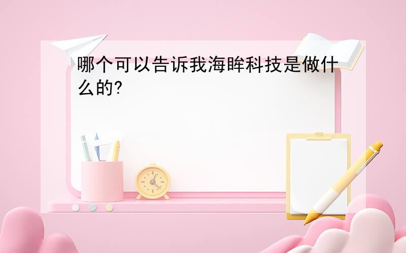 哪个可以告诉我海眸科技是做什么的?