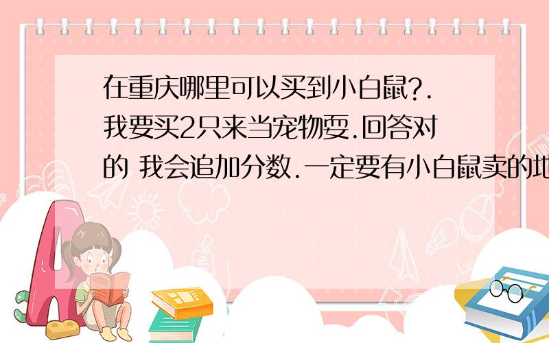 在重庆哪里可以买到小白鼠?.我要买2只来当宠物耍.回答对的 我会追加分数.一定要有小白鼠卖的地方.而不是其他鼠.我都提到90分了..难道没人来领吗.