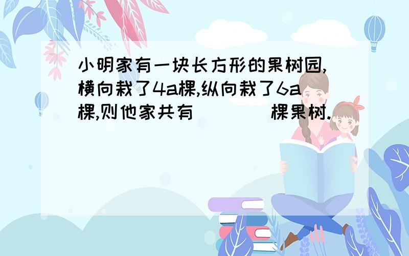 小明家有一块长方形的果树园,横向栽了4a棵,纵向栽了6a棵,则他家共有____棵果树.