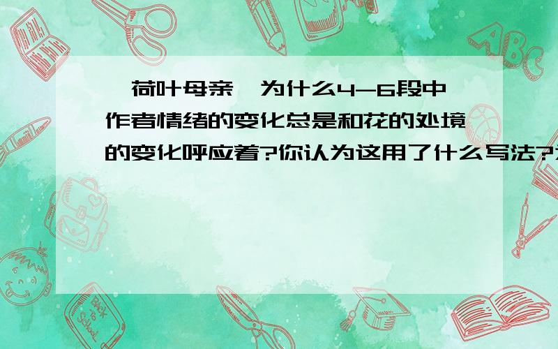 《荷叶母亲》为什么4-6段中作者情绪的变化总是和花的处境的变化呼应着?你认为这用了什么写法?为什么4-6段中作者情绪的变化总是和花的处境的变化呼应着?你认为这用了什么写法?每点都要