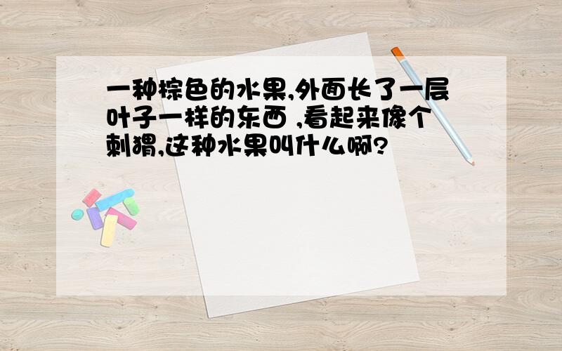 一种棕色的水果,外面长了一层叶子一样的东西 ,看起来像个刺猬,这种水果叫什么啊?