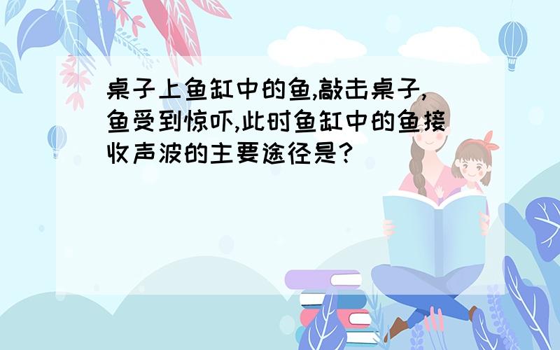 桌子上鱼缸中的鱼,敲击桌子,鱼受到惊吓,此时鱼缸中的鱼接收声波的主要途径是?