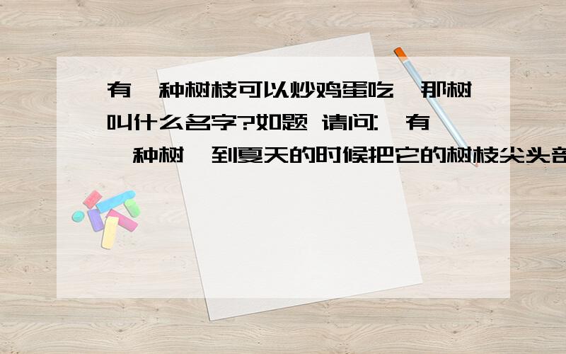 有一种树枝可以炒鸡蛋吃,那树叫什么名字?如题 请问: