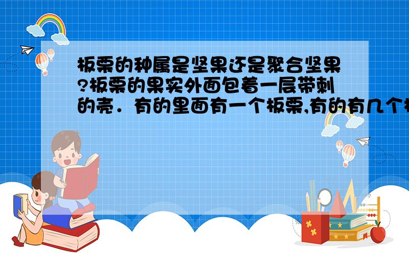 板栗的种属是坚果还是聚合坚果?板栗的果实外面包着一层带刺的壳．有的里面有一个板栗,有的有几个板栗．那么板栗是不是聚合坚果?