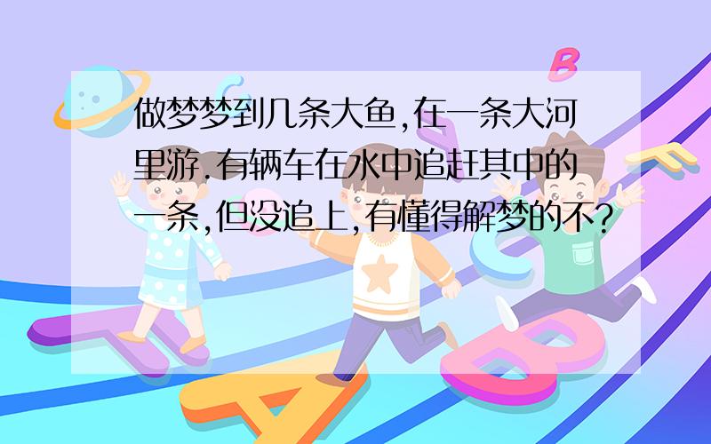 做梦梦到几条大鱼,在一条大河里游.有辆车在水中追赶其中的一条,但没追上,有懂得解梦的不?