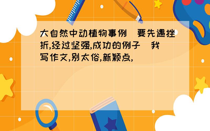 大自然中动植物事例（要先遇挫折,经过坚强,成功的例子）我写作文,别太俗,新颖点,